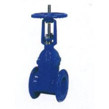 Rising Stem Flexible Seat Gate Valve (RRHX)